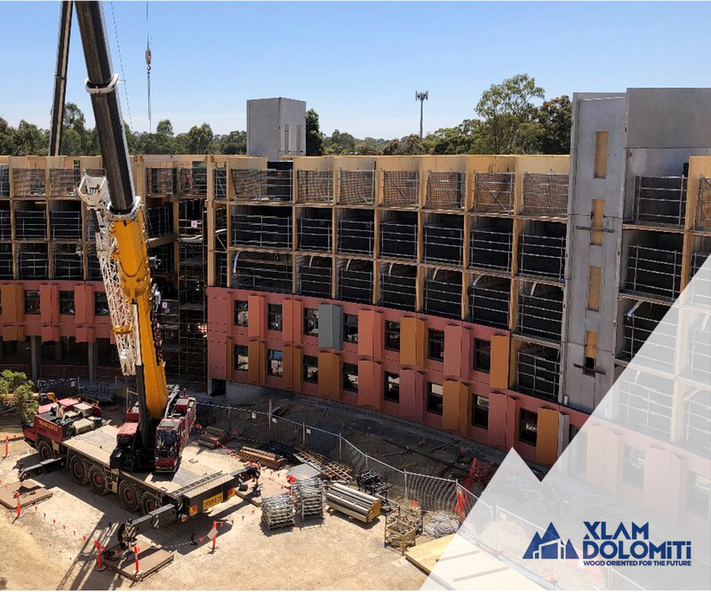Construction of a multi-storey student housing project with CLT
