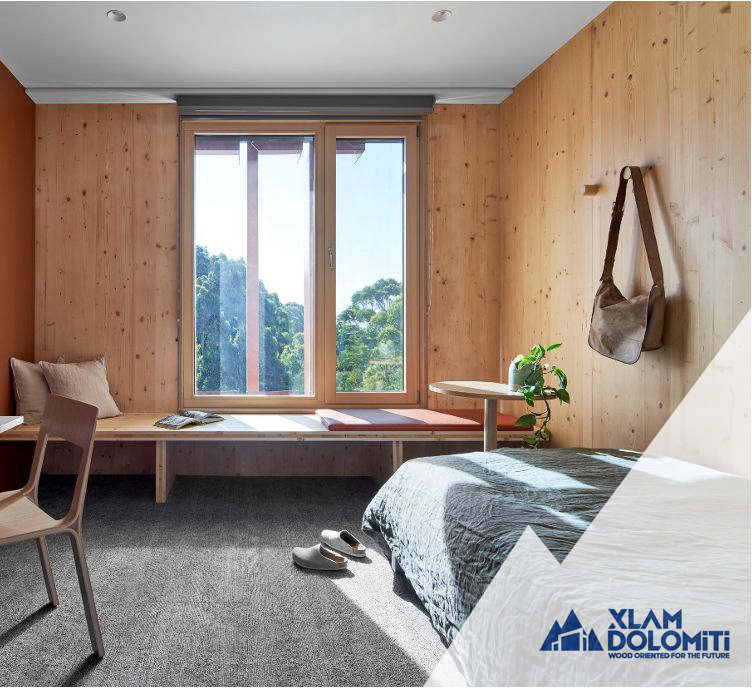 Completed student residence room with exposed CLT timber interior